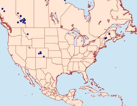 Distribution Data for Xestia speciosa