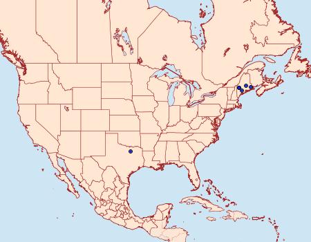 Distribution Data for [Gelechioidea - no genus] parvipulvella