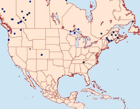 Distribution Data for Xestia perquiritata