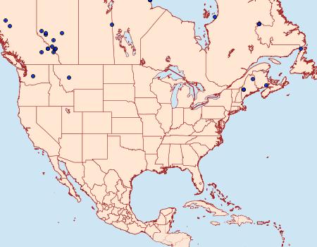 Distribution Data for Xestia homogena