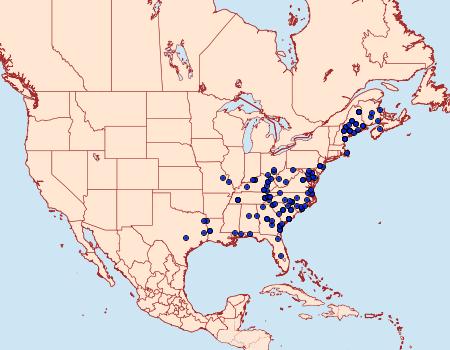 Distribution Data for Xestia elimata