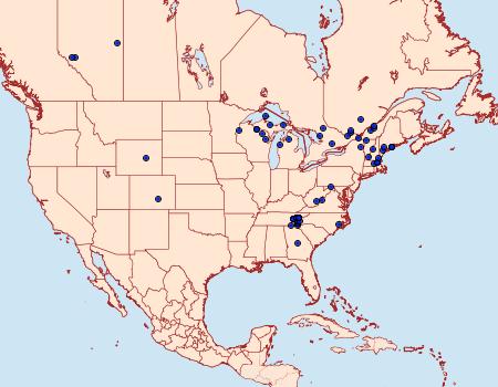 Distribution Data for Xestia praevia