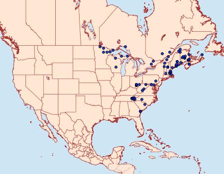 Distribution Data for Xestia badicollis