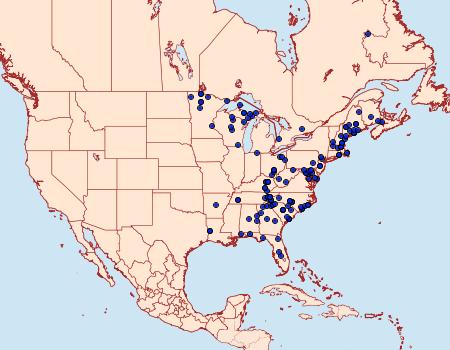 Distribution Data for Xestia dilucida