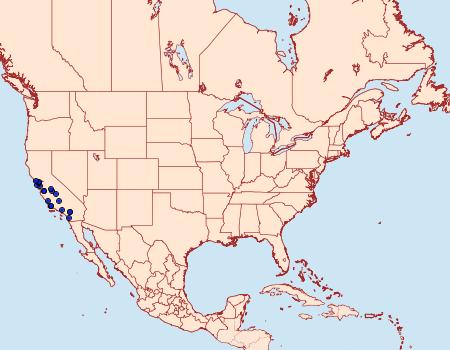 Distribution Data for Elachista coniophora