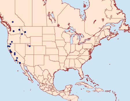 Distribution Data for Xestia finatimis