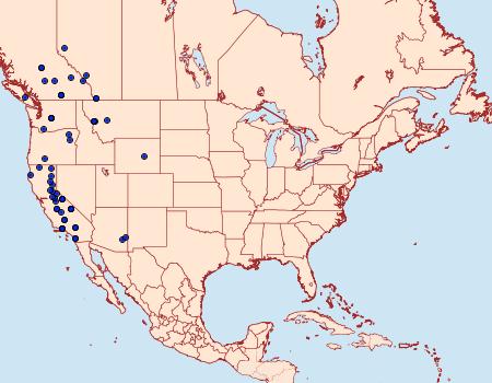 Distribution Data for Setagrotis pallidicollis