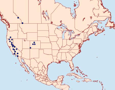 Distribution Data for Tesagrotis atrifrons