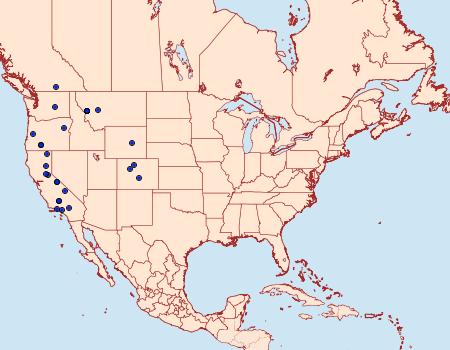 Distribution Data for Tesagrotis corrodera