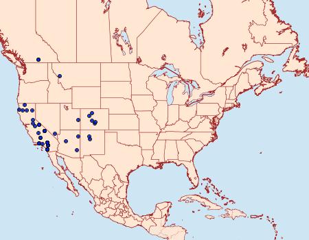 Distribution Data for Tesagrotis piscipellis