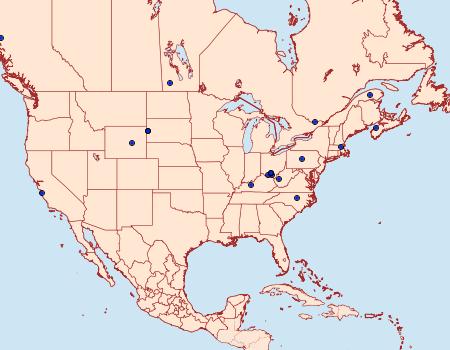 Distribution Data for Elachista subalbidella