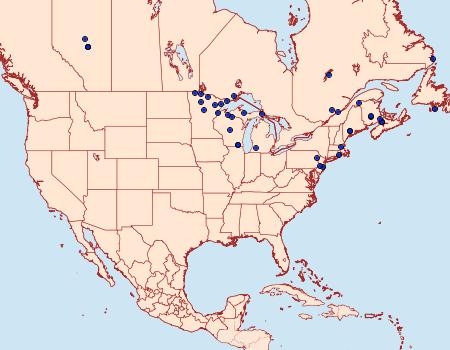 Distribution Data for Hemipachnobia monochromatea