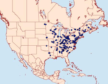 Distribution Data for Cerastis tenebrifera