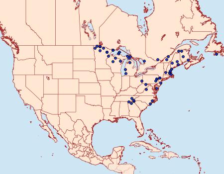 Distribution Data for Cerastis fishii