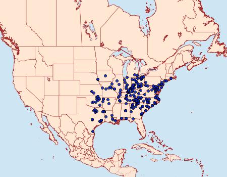 Distribution Data for Choephora fungorum