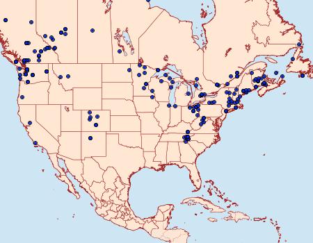 Distribution Data for Anaplectoides prasina