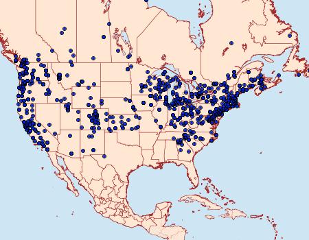 Distribution Data for Noctua pronuba