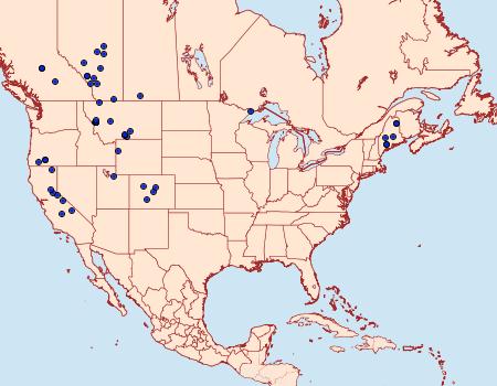 Distribution Data for Chersotis juncta