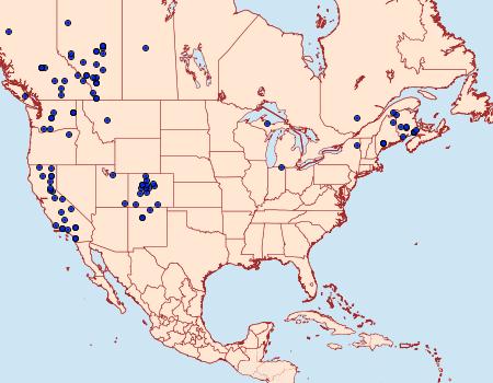 Distribution Data for Protolampra rufipectus