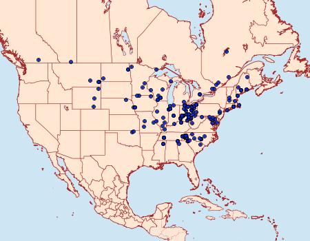 Distribution Data for Protolampra brunneicollis