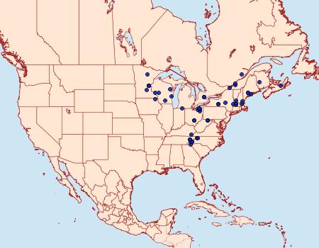 Distribution Data for Eueretagrotis sigmoides