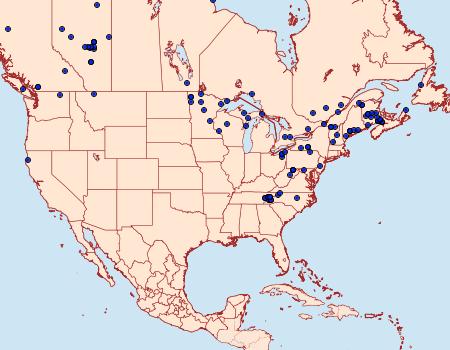 Distribution Data for Eueretagrotis perattentus