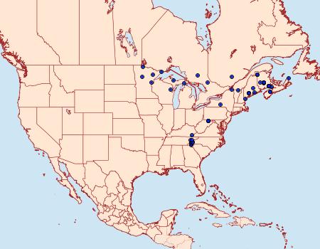 Distribution Data for Eueretagrotis attentus