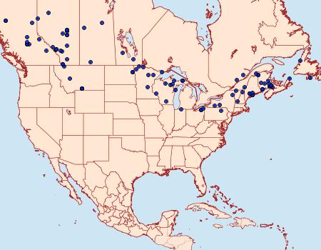 Distribution Data for Cryptocala acadiensis