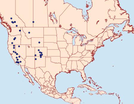 Distribution Data for Abagrotis vittifrons