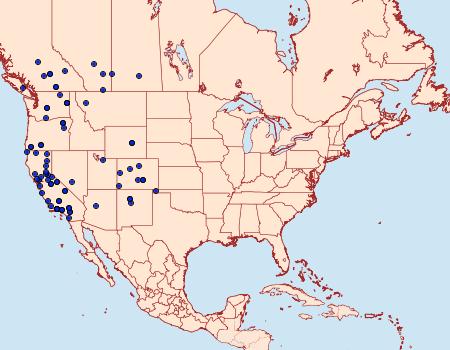 Distribution Data for Abagrotis trigona