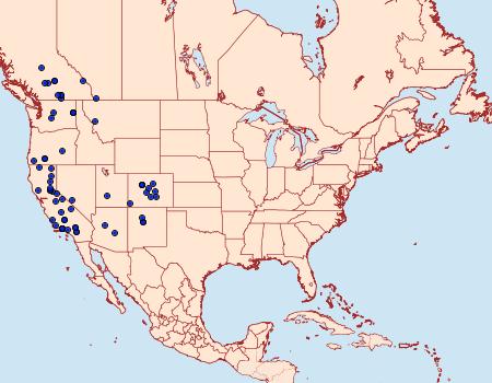 Distribution Data for Abagrotis mirabilis