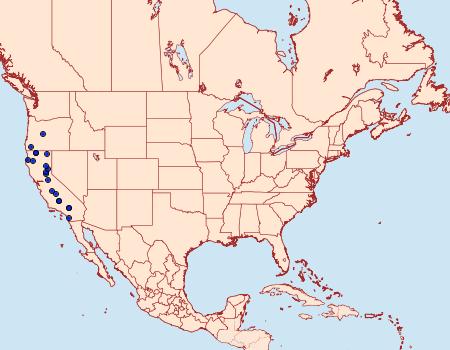 Distribution Data for Abagrotis rubricundis