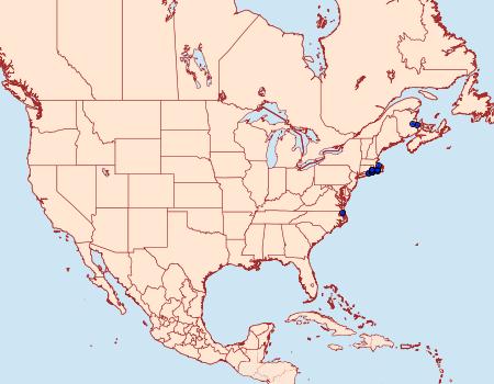 Distribution Data for Abagrotis benjamini