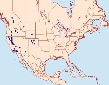 Distribution Data for Abagrotis nefascia