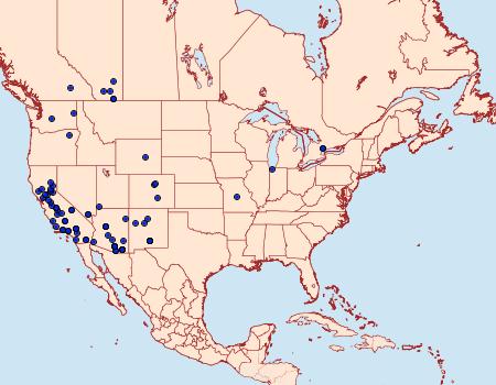 Distribution Data for Abagrotis orbis