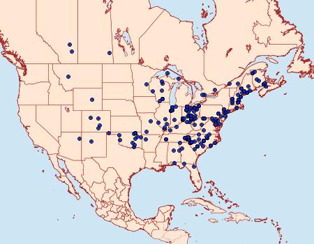 Distribution Data for Abagrotis alternata