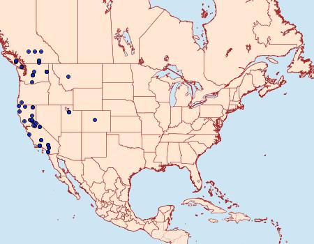 Distribution Data for Abagrotis scopeops