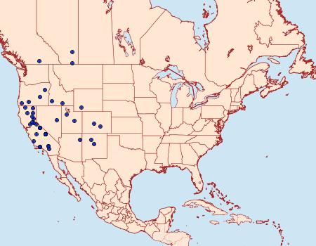 Distribution Data for Abagrotis discoidalis