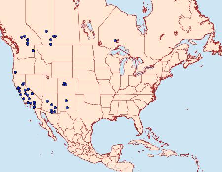 Distribution Data for Abagrotis reedi