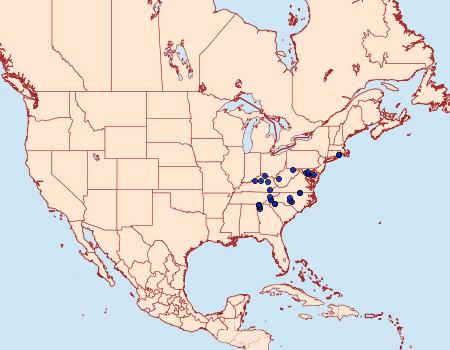 Distribution Data for Abagrotis magnicupida