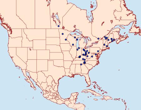 Distribution Data for Abagrotis anchocelioides