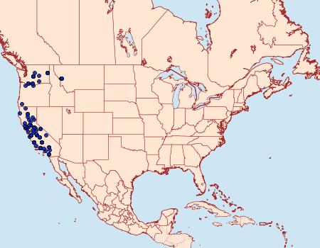 Distribution Data for Parabagrotis formalis