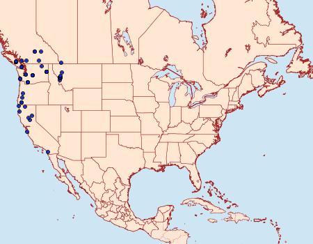 Distribution Data for Parabagrotis sulinaris