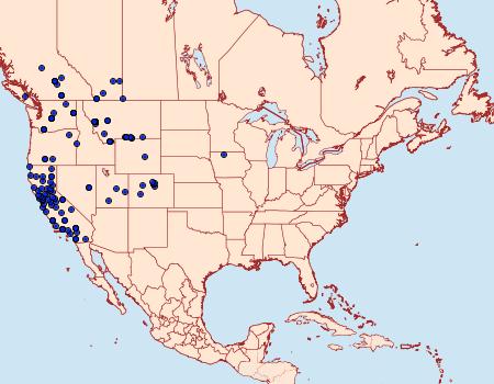 Distribution Data for Parabagrotis exsertistigma