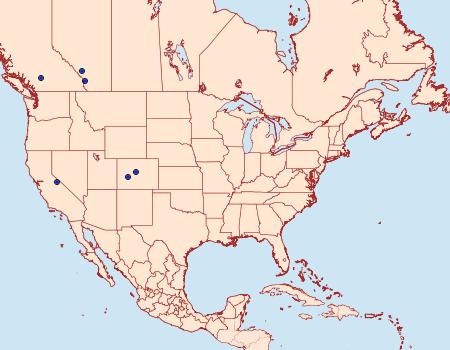 Distribution Data for Pronoctua craboi