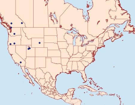 Distribution Data for Ufeus hulstii