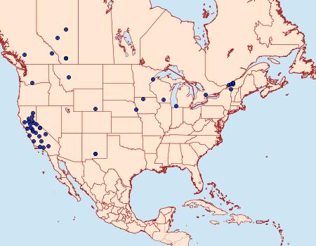 Distribution Data for Ufeus plicatus