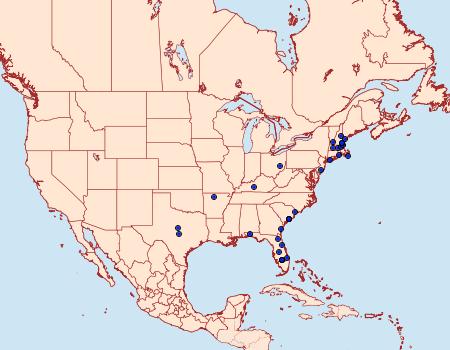 Distribution Data for Derrima stellata