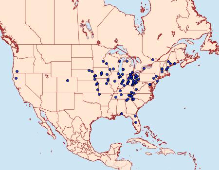 Distribution Data for Pyrrhia cilisca