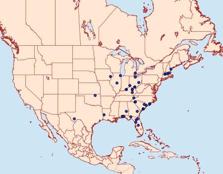 Distribution Data for Pyrrhia aurantiago